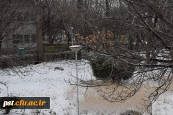 طبیعت زیابی دانشگاه فرهنگیان شهید مطهری در روز برفی