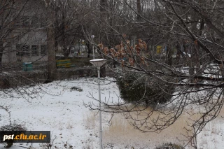 طبیعت زیبای دانشگاه فرهنگیان شهید مطهری در روز برفی