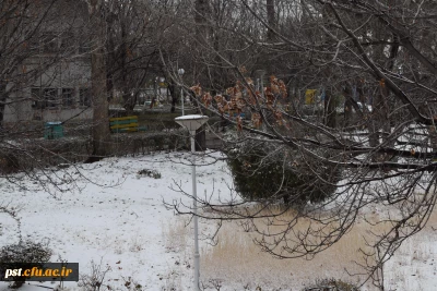 طبیعت زیبای دانشگاه فرهنگیان شهید مطهری در روز برفی