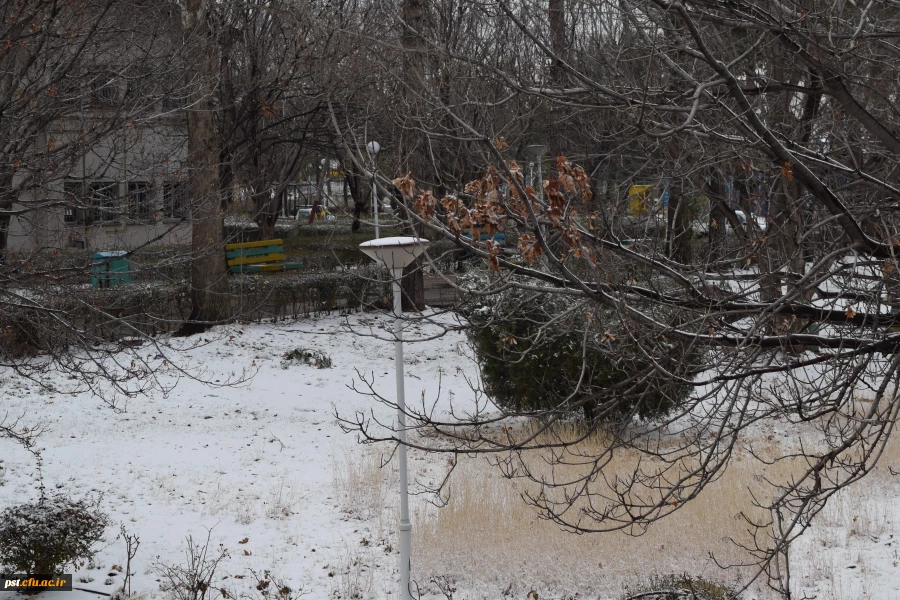 طبیعت زیابی دانشگاه فرهنگیان شهید مطهری در روز برفی