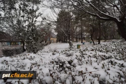 طبیعت زیابی دانشگاه فرهنگیان شهید مطهری در روز برفی