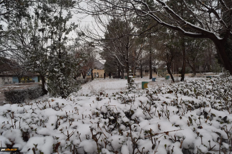 طبیعت زیابی دانشگاه فرهنگیان شهید مطهری در روز برفی