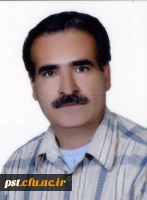 علی مومن صالحی