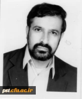 محمد فولادی