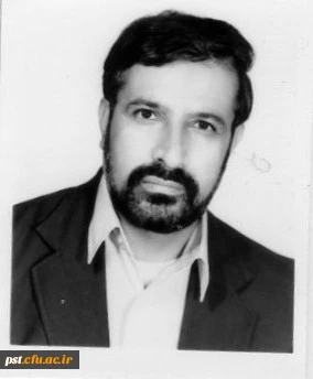 محمد فولادی