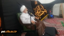 مراسم هفتگی هیئت سفینه النجاه