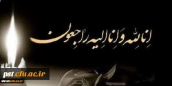 عرض تسلیت خدمت جناب آقای دکتر اناری نژاد و خانواده گرامی ایشان