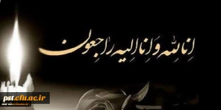 عرض تسلیت خدمت جناب آقای دکتر اناری نژاد و خانواده گرامی ایشان