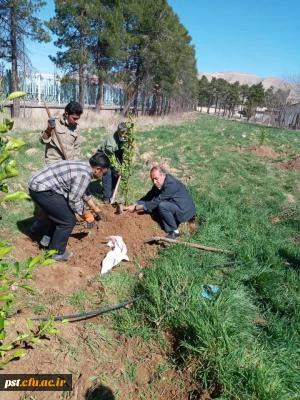 گرامیداشت هفته منابع طبیعی و روز در ختکاری با غرس نهال توسط ریاست  محترم دانشگاه و همکاران 