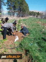 گرامیداشت هفته منابع طبیعی و روز در ختکاری با غرس نهال توسط ریاست  محترم دانشگاه و همکاران 