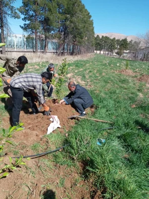 گرامیداشت هفته منابع طبیعی و روز در ختکاری با غرس نهال توسط ریاست  محترم دانشگاه و همکاران 