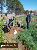 گرامیداشت هفته منابع طبیعی و روز در ختکاری با غرس نهال توسط ریاست  محترم دانشگاه و همکاران 