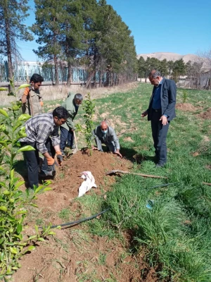 گرامیداشت هفته منابع طبیعی و روز در ختکاری با غرس نهال توسط ریاست  محترم دانشگاه و همکاران 