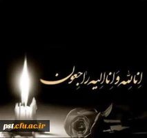 پیام تسلیت 2