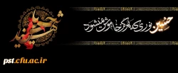 السلام علیک یا ابا عبدالله الحسین علیه السلام 3