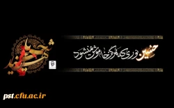 السلام علیک یا ابا عبدالله الحسین علیه السلام 3