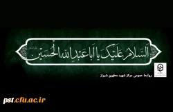 السلام علیک یا ابا عبدالله الحسین علیه السلام 2