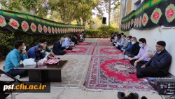 
مراسم پرفیض زیارت عاشورا همزمان با ایام شهادت حضرت رقیه (س) 2