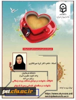 کارگاه آموزشی خانواده در مراحل مختلف چرخه زندگی  2