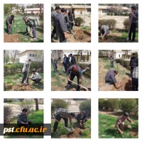 کاشت درخت به مناسبت هفته درختکاری و روز ایثار و شهادت . 2