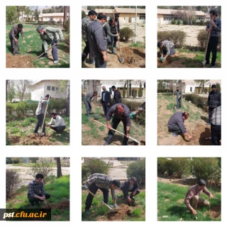 کاشت درخت به مناسبت هفته درختکاری و روز ایثار و شهادت .