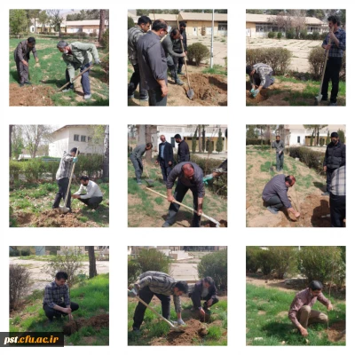 کاشت درخت به مناسبت هفته درختکاری و روز ایثار و شهادت .