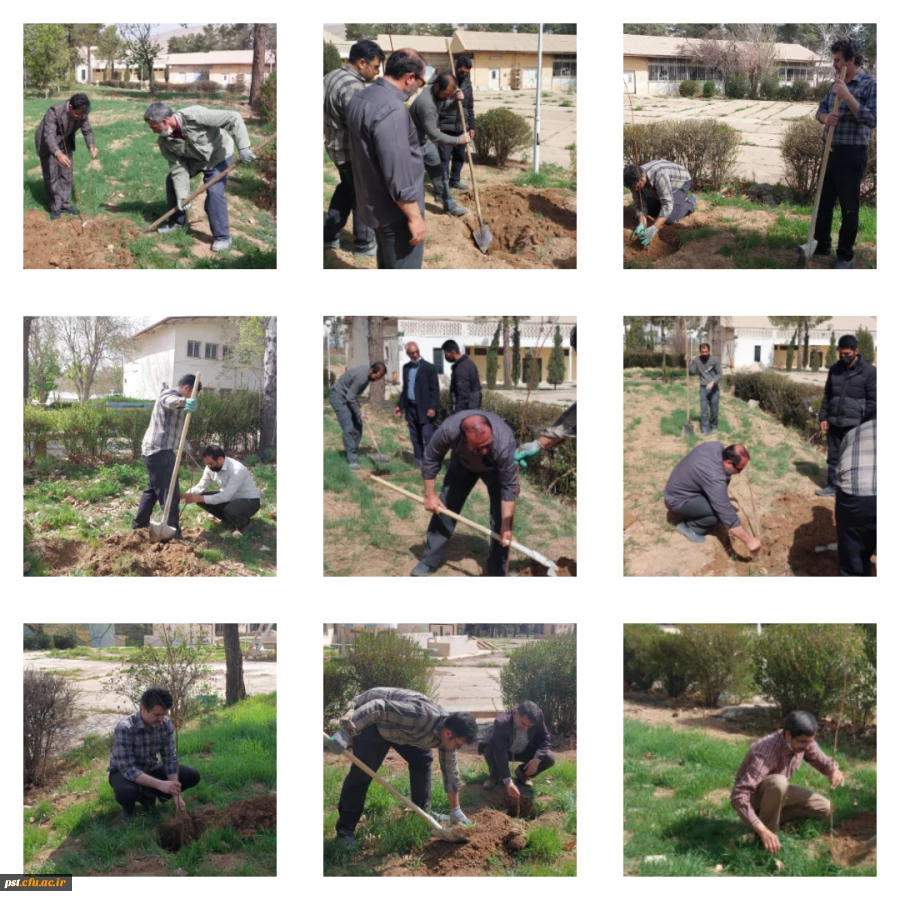 کاشت درخت به مناسبت هفته درختکاری و روز ایثار و شهادت . 2