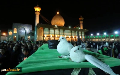 پیام تسلیت کارکنان دانشگاه فرهنگیان مرکز شهید مطهری شیراز در پی حوادث تروریستی حرم مطهر احمد بن موسی الکاظم(ع) 