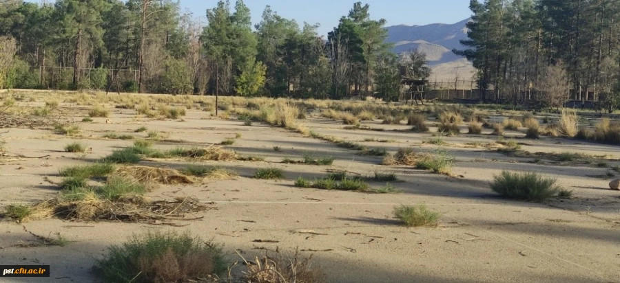 4احداث زمین چمن مصنوعی 2