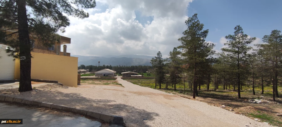 13ساخت مسیر تردد جدید از خوابگاه شهید چمران به سلف شهید احمدی روشن 2