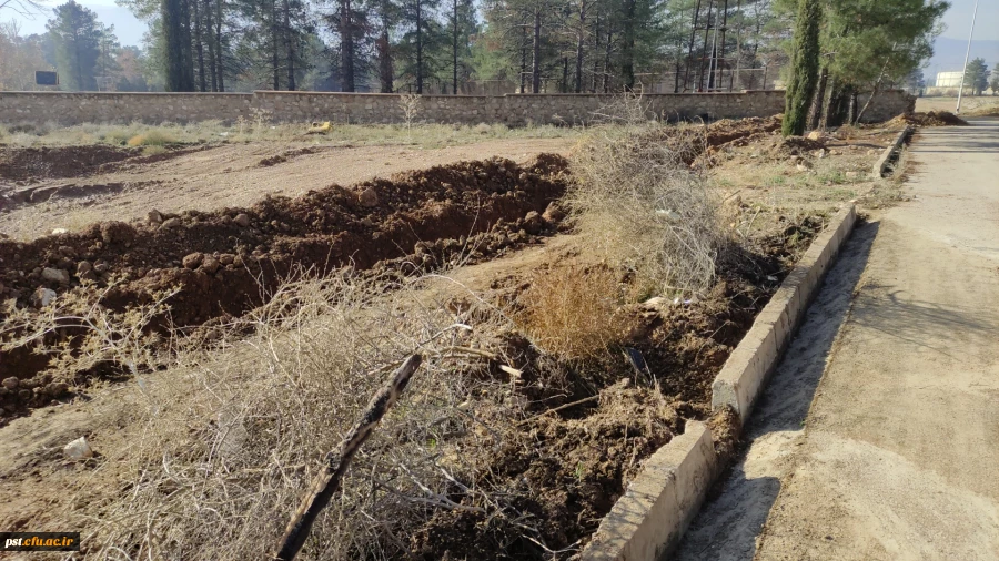 13ساخت مسیر تردد جدید از خوابگاه شهید چمران به سلف شهید احمدی روشن 9