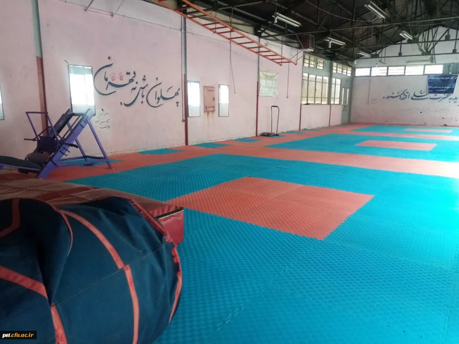 21راه اندازی سالن ورزش های رزمی و آمادگی جسمانی با نصب بیش از 200مترمربع تاتمی 4