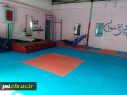21راه اندازی سالن ورزش های رزمی و آمادگی جسمانی با نصب بیش از 200مترمربع تاتمی 5