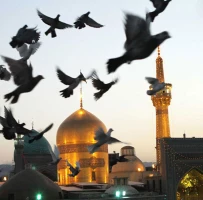 میلاد هشتمین گوهر تابناک امامت و ولایت امام رضا (ع) مبارک باد.