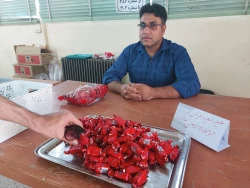 گزارشی از برگزاری امتحانات پایان ترم نیم سال دوم 1403-1402 در واحد دانشگاهی شهید مطهری دانشگاه فرهنگیان شیراز