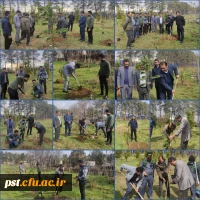 برگزاری مراسم روز درختکاری در واحد شهید مطهری شیراز 2