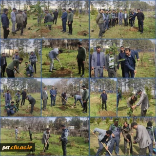 برگزاری مراسم روز درختکاری در واحد شهید مطهری شیراز