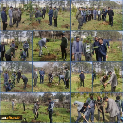 برگزاری مراسم روز درختکاری در واحد شهید مطهری شیراز