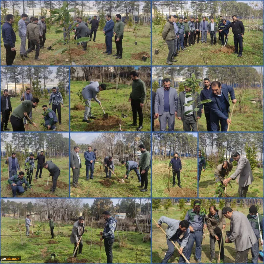 برگزاری مراسم روز درختکاری در واحد شهید مطهری شیراز 2