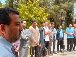 همبستگی با غزه